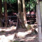 phoca_thumb_m_vp 2.den 23 Fotogalerie